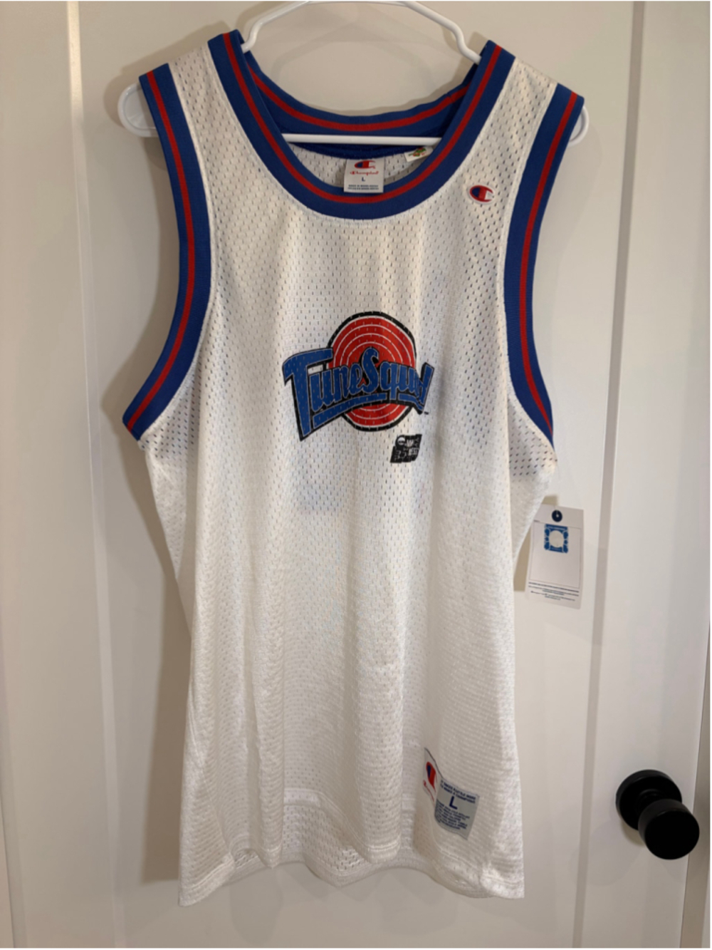 NWT Women’s Space Jam Lola Bunny Tune Squad #10 Basketball Jersey Large